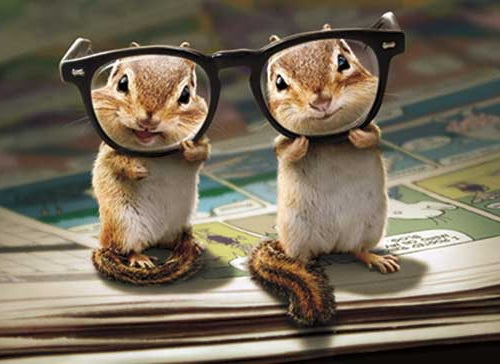 Tamias lunettes