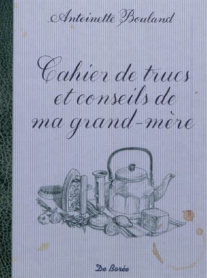 Cahier de trucs/conseils de grand-mère - ANTOINETTE BOULAND