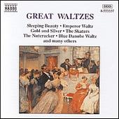 Great waltzes - COMPILATIONS