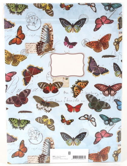 Ens. correspondance Papillons - 