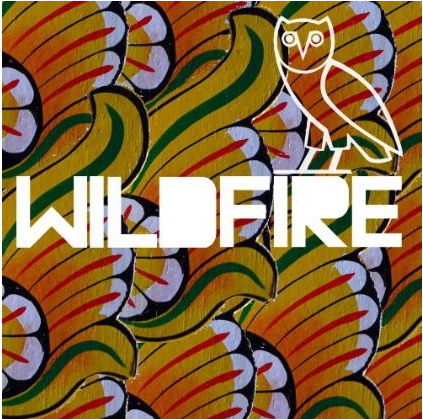 Wildfire - Ltd. Edition (Vinyl) - SBTRKT