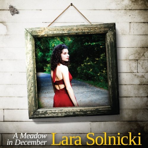 A Meadow in December - SOLNICKI LARA