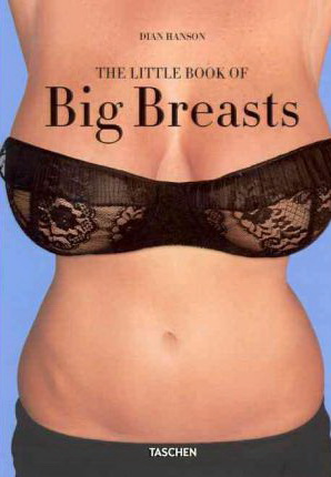 The Little book of big breasts - COLLECTIF