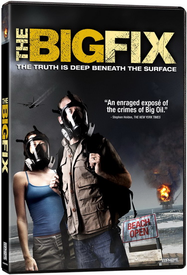 The Big Fix - TICKELL JOSHUA