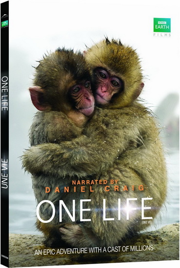 One Life - GUNTON MICHEAL HOLMES MARTHA