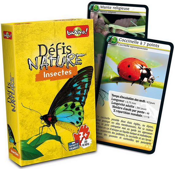 Cartes Défis nature Insectes - 