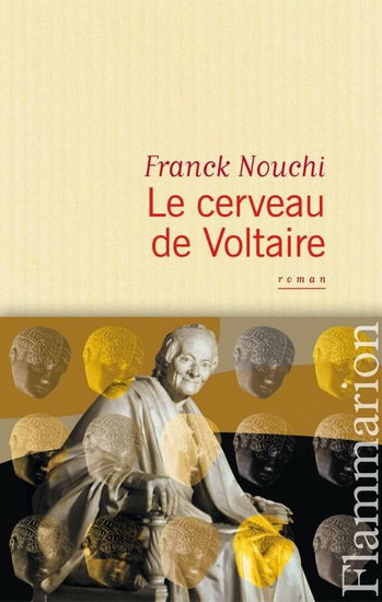 Le Cerveau de Voltaire - FRANCK NOUCHI