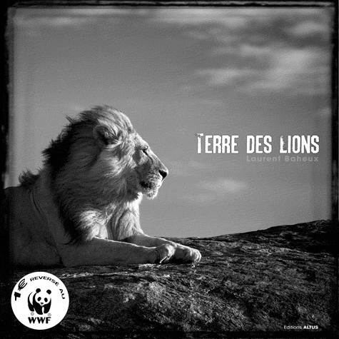 Terre des lions - LAURENT BAHEUX