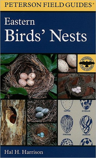 Eastern bird&#39;s nest - COLLECTIF