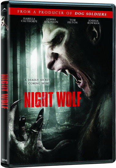 Night Wolf - 