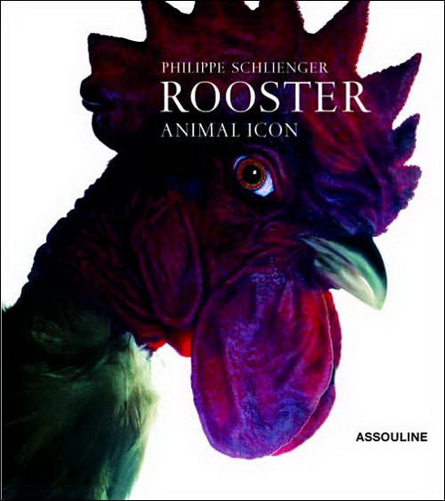 Rooster - PHILIPPE SCHLIENGER