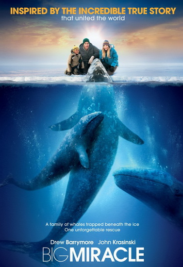 Big Miracle - KWAPIS KEN