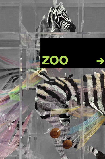 Zoo - COLLECTIF