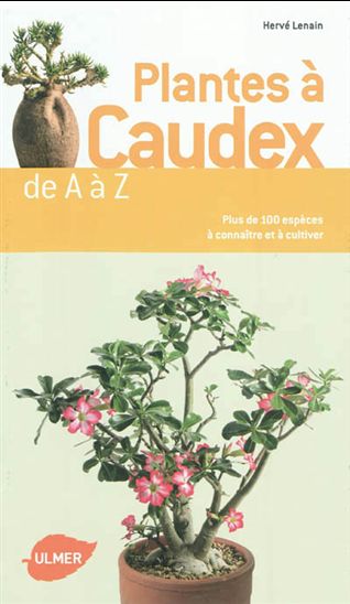 Plantes à caudex de A à Z - HERVÉ LENAIN