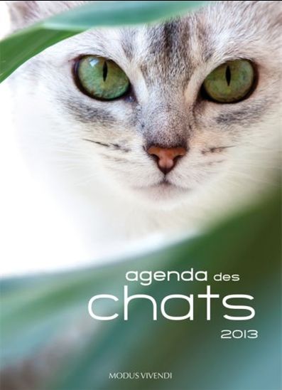 Agenda des chats 2013 - 