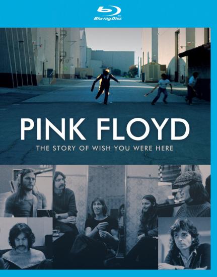 Pink Floyd - The Story Wish You Were Here - PINK FLOYD