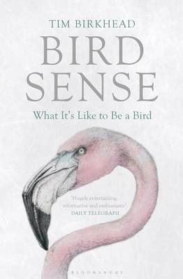 Bird sense : What it&#39;s like to be a bird - TIM BIRKHEAD
