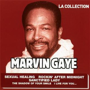 Marvin Gaye - La Collection - GAYE  MARVIN