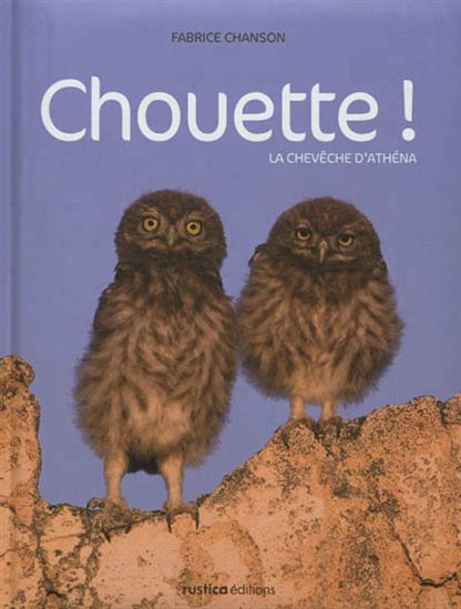 Chouette ! - FABRICE CHANSON