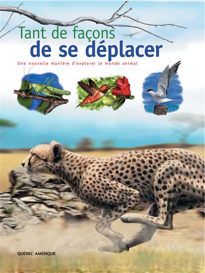 Tant de façons de se déplacer - PODESTO MARTINE