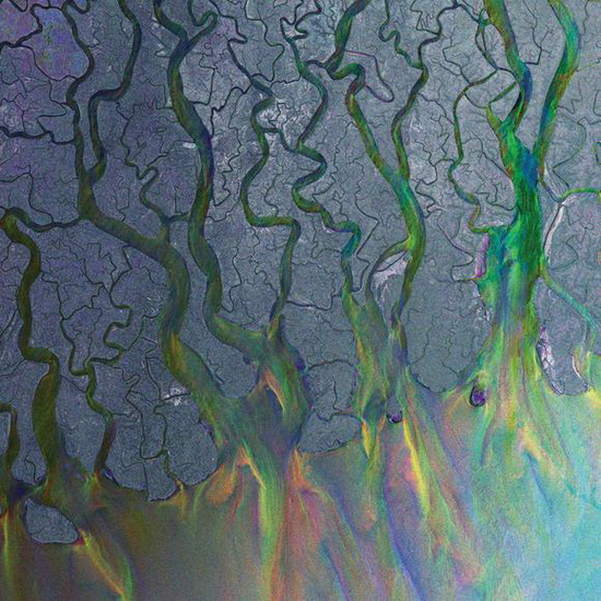 An Awesome Wave (Vinyl) - ALT-J