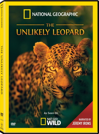 The Unlikely Leopard - 