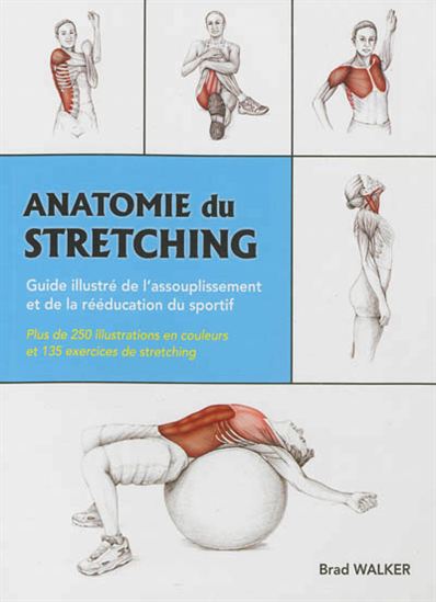 Anatomie du stretching : guide illustré de l&#39;assouplissement et de la rééducation - BRAD WALKER