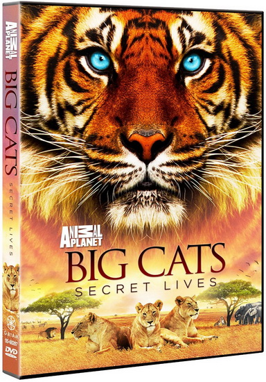 Big Cats Secret Lives - 