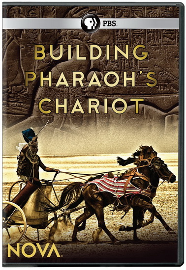 Building Pharaoh's Chariot - 