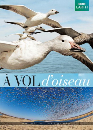A vol d'oiseau - DOWNER JOHN