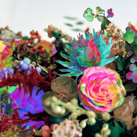 News From Nowhere - DARKSTAR