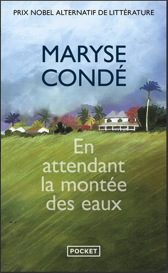 En attendant la montée des eaux - MARYSE CONDÉ