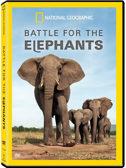 Battle for the Elephants - 