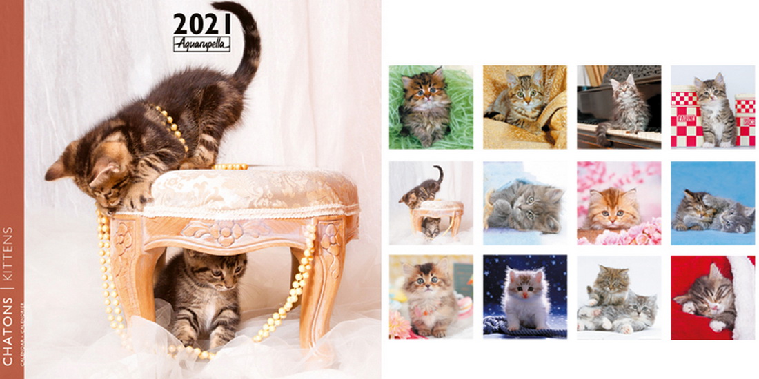 500 trucs et astuces de grand-mère : santé, beauté, cuisine, entretien, jardinage, bricolage... - LYDIA MAMMAR