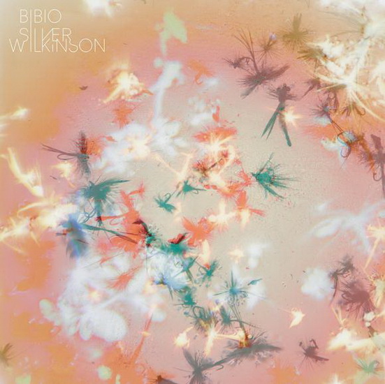 Silver Wilkinson - BIBIO