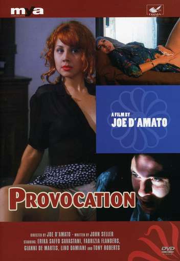 Provocation - D'AMATO JOE