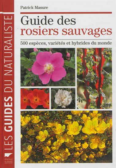 Guide des rosiers sauvages : 500 espèces, variétés et hybrides du monde - PATRICK MASURE