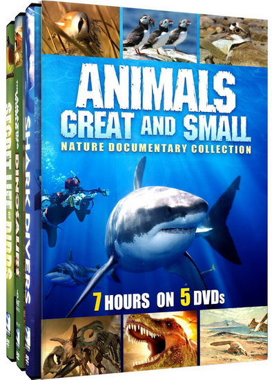 Animals Great And Small - 