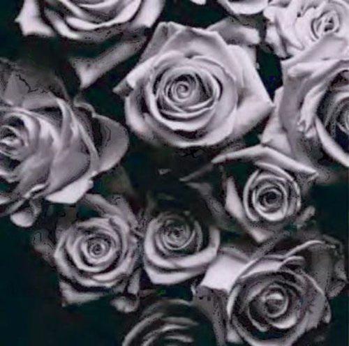 With Love (2CD) - ZOMBY