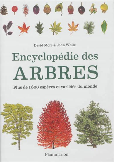 Encyclopédie des arbres : plus de 1800 espèces et variétés du monde N. éd. - JOHN T WHITE - DAVID MORE