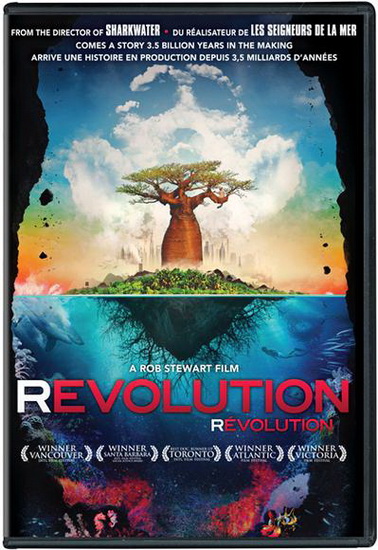 Revolution - STEWART ROB