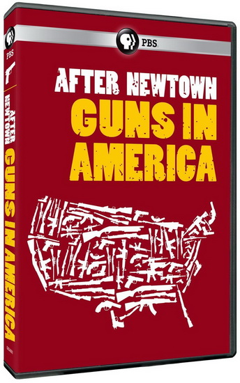 After Newtown: Guns In America - 