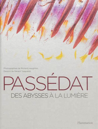 Passédat : des abysses à la lumière - GÉRALD PASSÉDAT