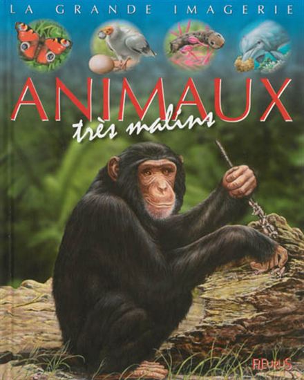 Les Animaux très malins - SABINE BOCCADOR & AL