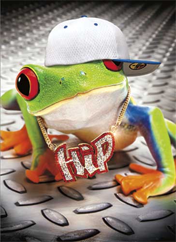 Grenouille Hip Hop Yo Yo Yo Bon Anniversaire Livres Renaud Bray Com Livres Cadeaux Jeux