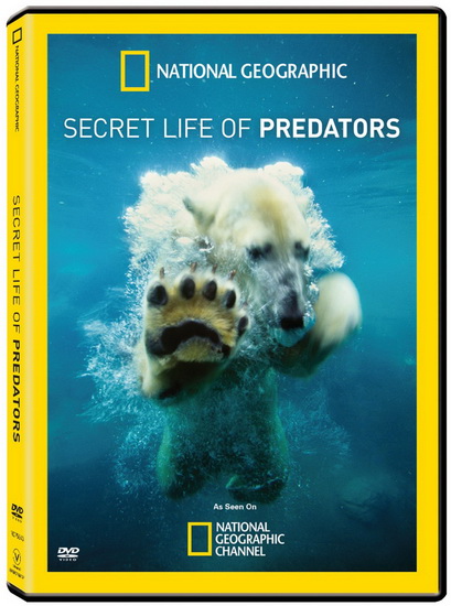 Secret Life of Predators - 