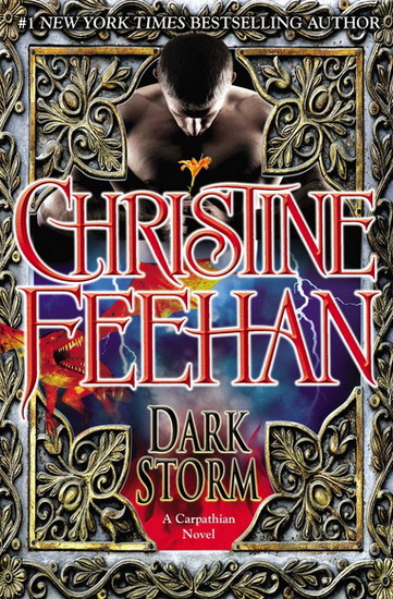 Dark storm #23 - CHRISTINE FEEHAN