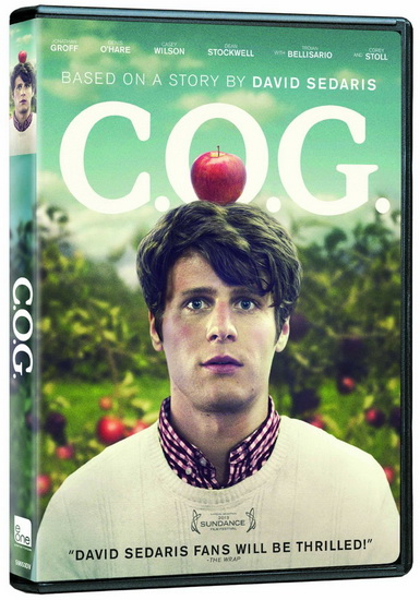 C.O.G. - KYLE PATRICK ALVAREZ