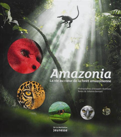 Amazonia : la vie au coeur de la forêt amazonienne - JOHANNE BERNARD - ARAQUEM ALCANTARA