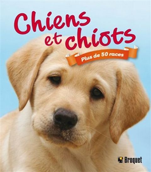  Races de chiens - COLLECTIF - Livres